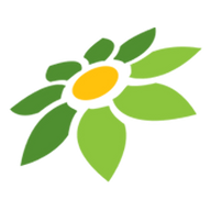 LINK SLOT50